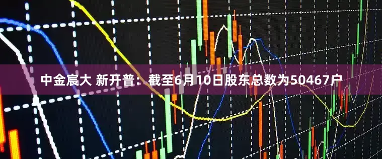中金宸大 新开普：截至6月10日股东总数为50467户