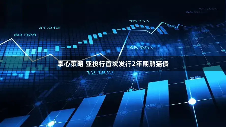 掌心策略 亚投行首次发行2年期熊猫债
